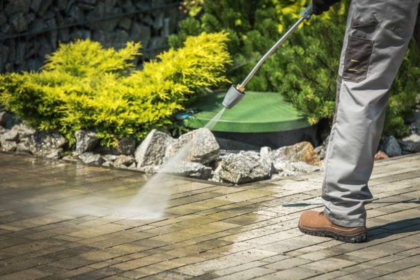 Best Oil Spill Cleanup  in Del Mar, CA