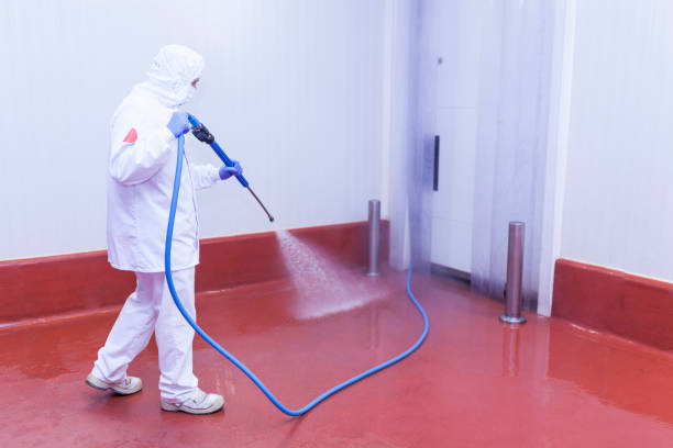 Best Rust Removal  in Del Mar, CA